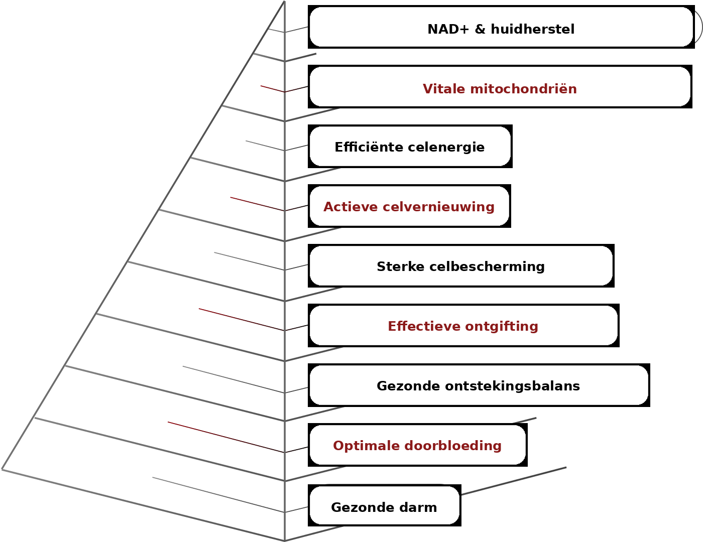 pyramid-nl.png