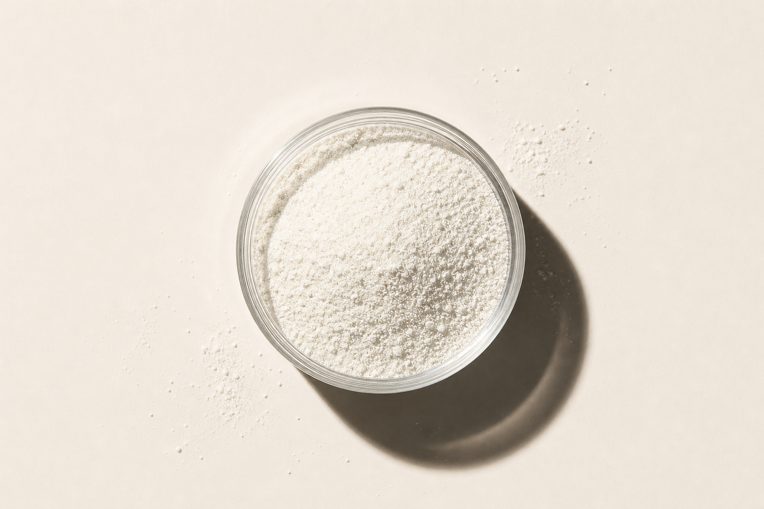 Bacillus coagulans BC99