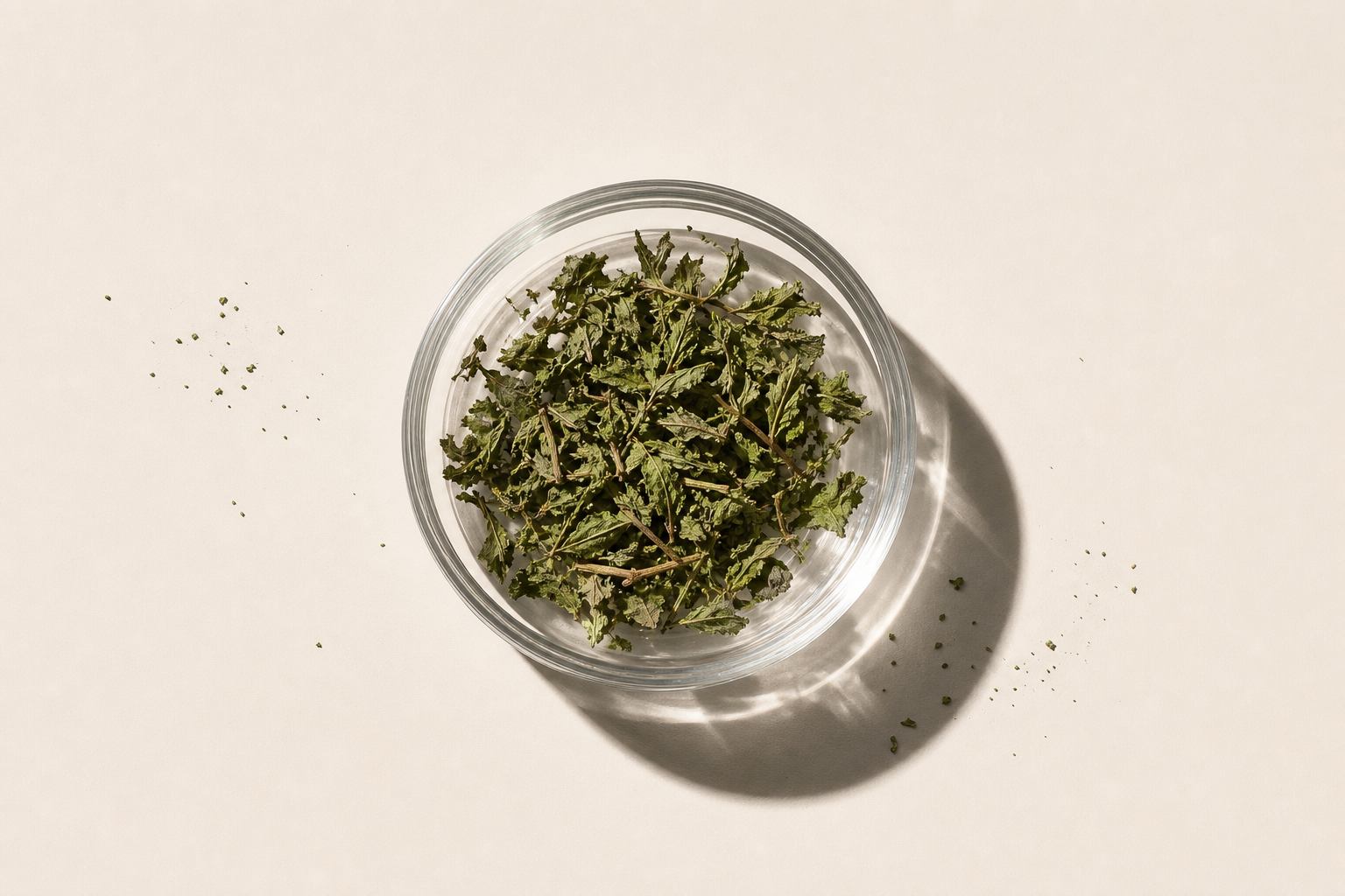 Bacopa
