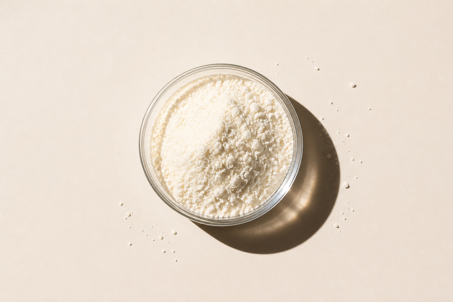 Lactobacillus casei 327